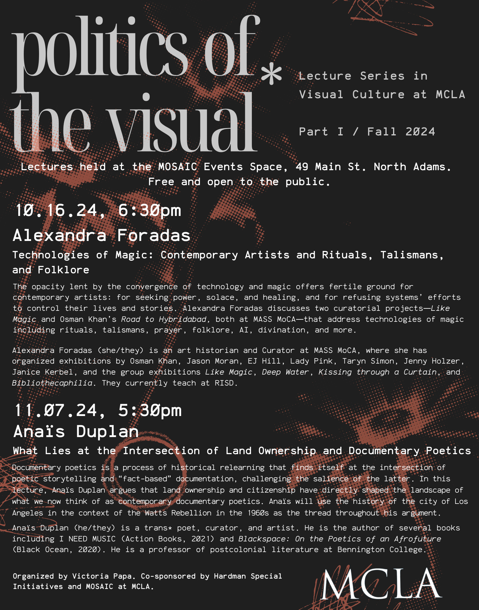 Image for Politics of the Visual lecture series